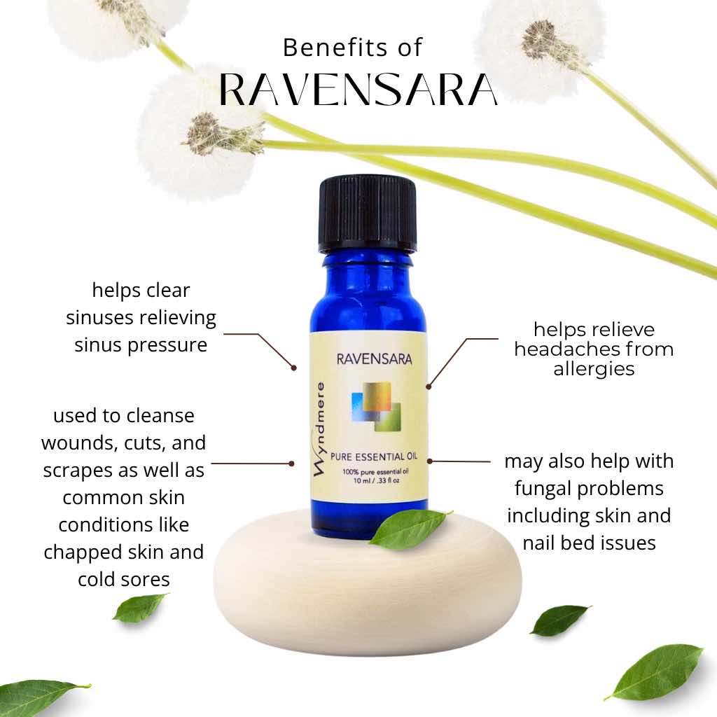Ravensara essential oil bottle with benefits listed on a white background
