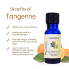 Wyndmere Tangerine essential oil bottle infographic on a white background with sliced tangerines
