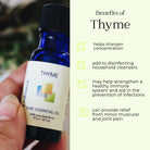 Person holding a bottle of Wyndmere Thyme essential oil on a light yellow background