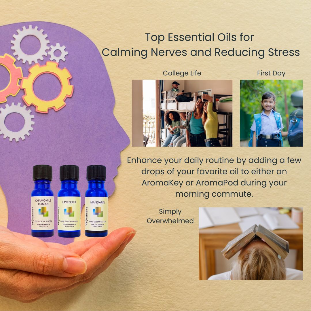 Promotional graphic for essential oils for calming nerves and reducing stress, featuring a hand holding three bottles of oil.
