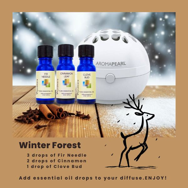 Winter Bliss Diffuser Blend