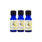 Wyndmere Winter Forest Fir Needle-Cinnamon-Clove Bud Oils Only
