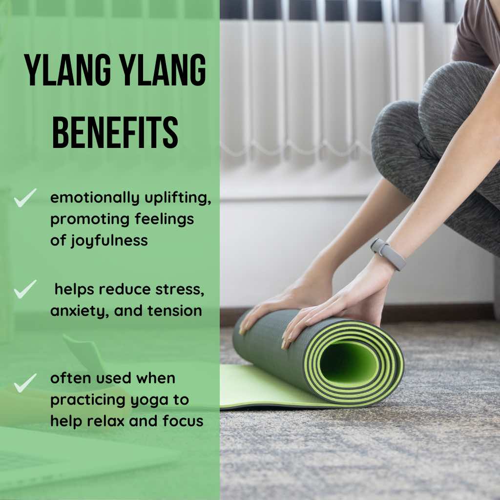 Person rolling out a yoga mat with Ylang Ylang benefits text on the side.