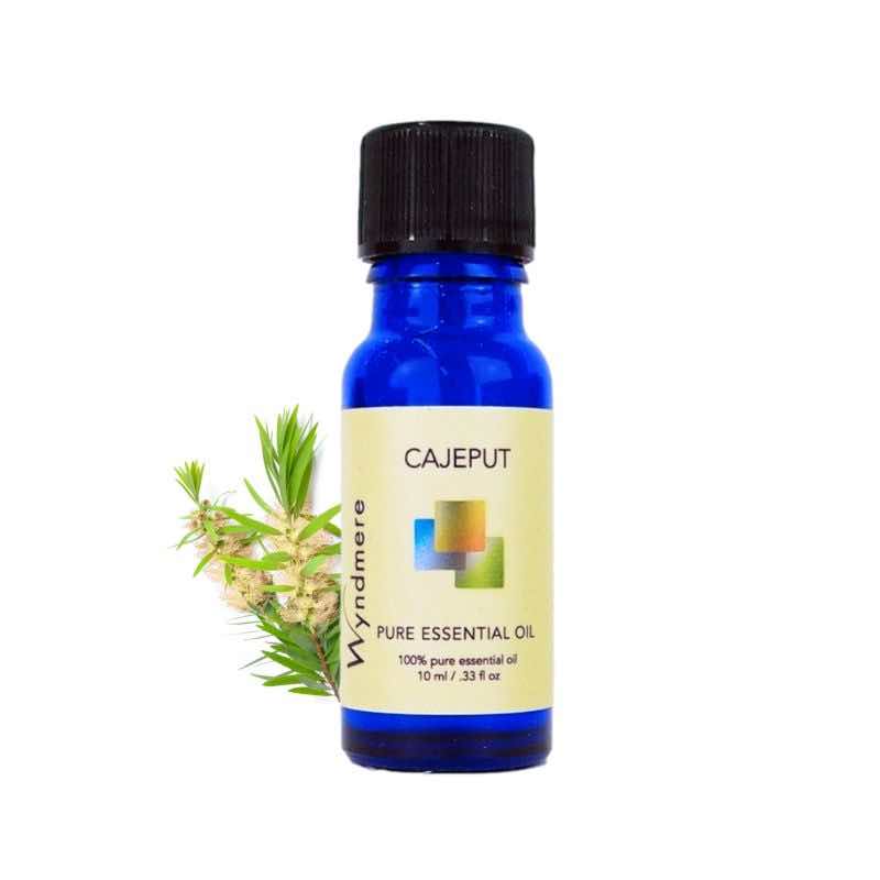 Flowering top of Cajeput plant with a 10ml cobalt blue bottle of Wyndmere Cajeput Essential Oil