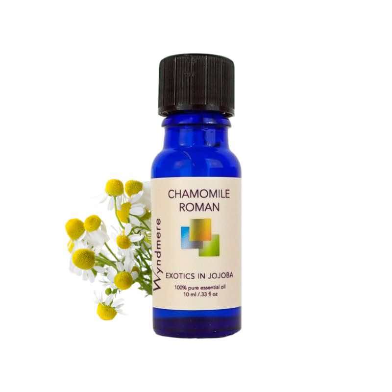 Chamomile flowers with Wyndmere Roman Chamomile Essential Oil in a 10ml cobalt blue bottle
