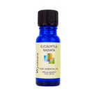 Eucalyptus radiata - 10ml bottle of Wyndmere Eucalyptus radiata Essential Oil with a fresh, camphorous aroma
