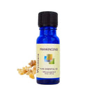 Frankincense resin with a  10ml cobalt blue bottle of Wyndmere Frankincense Essential Oil