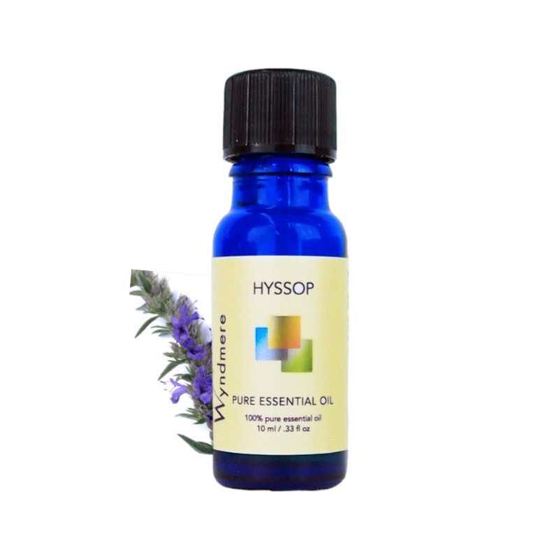 Hyssop flowering top with a 10ml cobalt blue bottle of Wyndmere Hyssop Essential Oil
