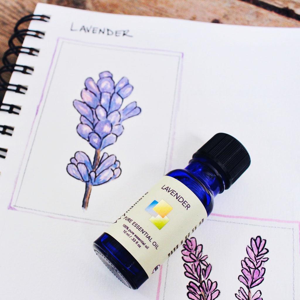 Drawings of lavender flower tops with a 10ml cobalt blue bottle of Wyndmere Lavender Essential Oil
