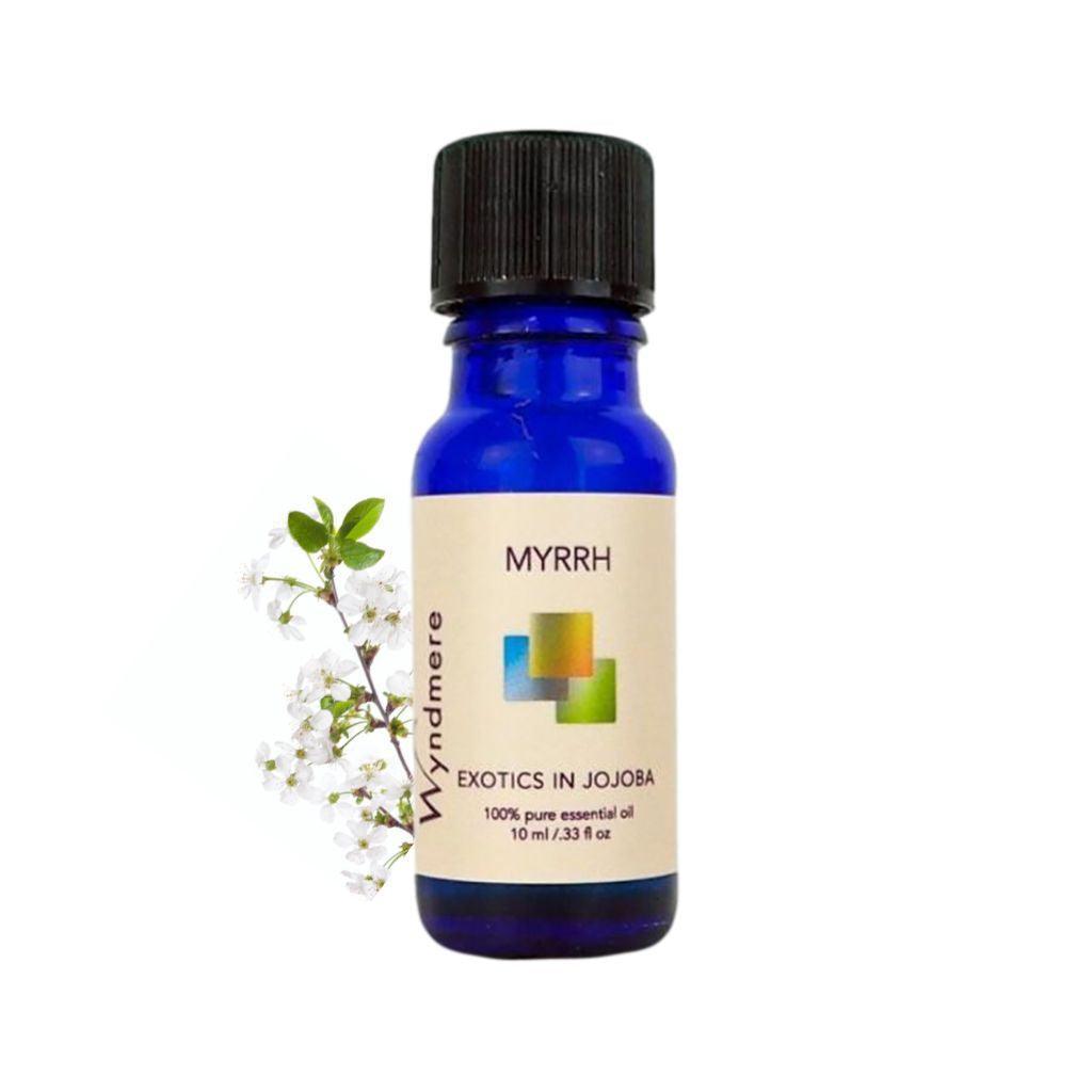 Flowering myrrh plant with Wyndmere Myrrh Essential Oil diluted in Jojoba in a 10ml cobalt blue bottle
