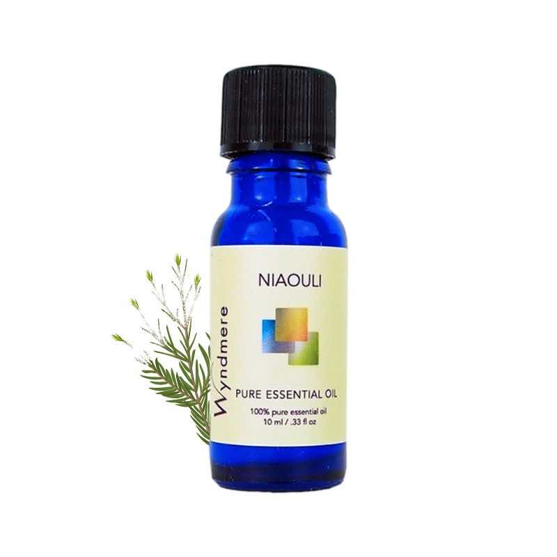Sprig of niaouli plant with a 10ml cobalt blue bottle of Wyndmere Niaouli Essential Oil