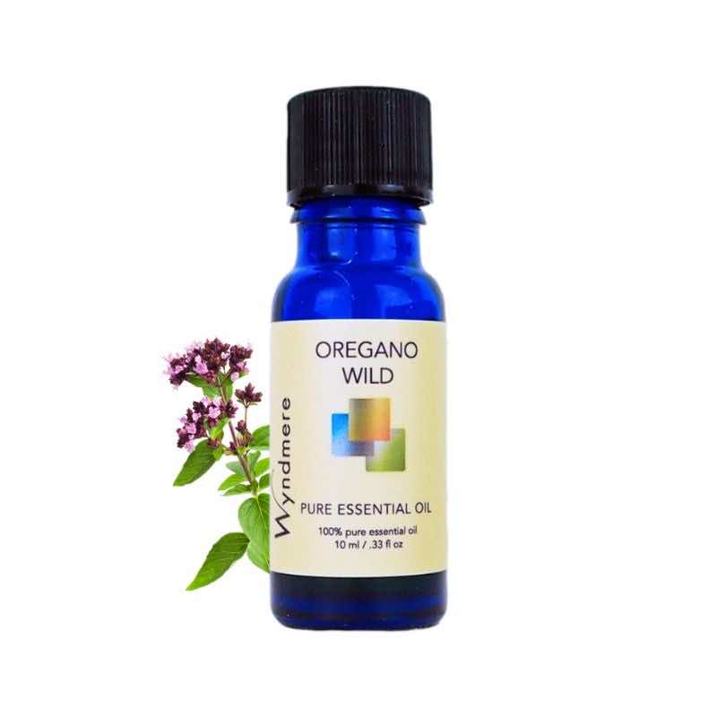 Flowering top of oregano plant with a 10ml cobalt blue bottle of Wyndmere Oregano Essential Oil