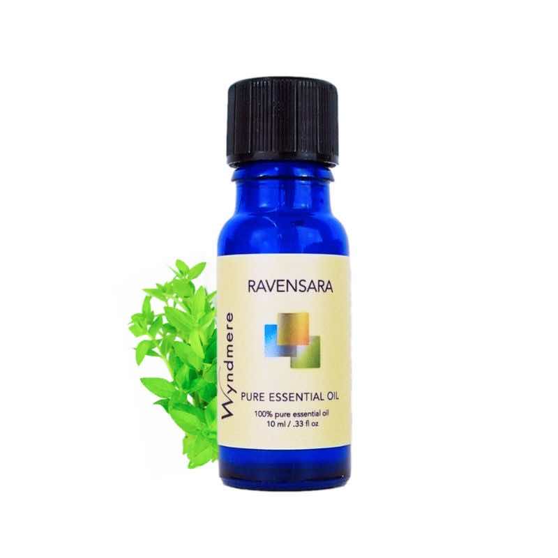 Ravensara leaves with a 10ml cobalt blue bottle of Wyndmere Ravensara Essential Oil