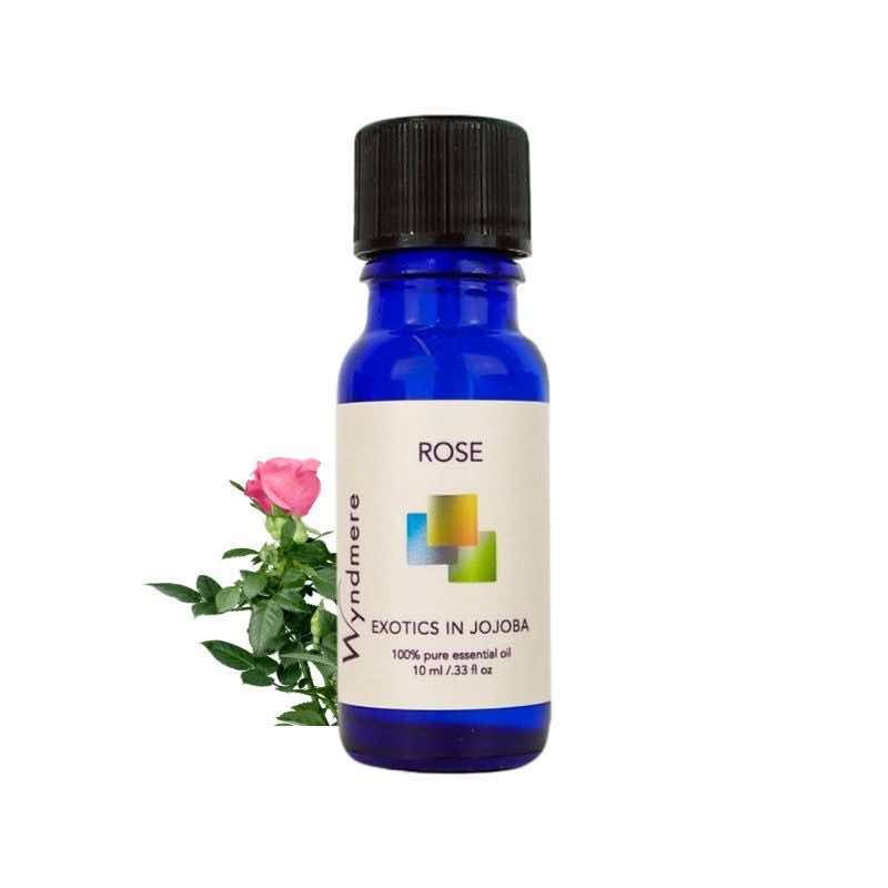 Rose flower with Wyndmere Rose Essential Oil diluted in Jojoba in a 10ml cobalt blue bottle