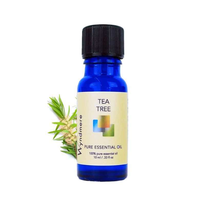 Flowering tea tree branch with a 10ml cobalt blue bottle of Wyndmere Tea Tree Essential Oil